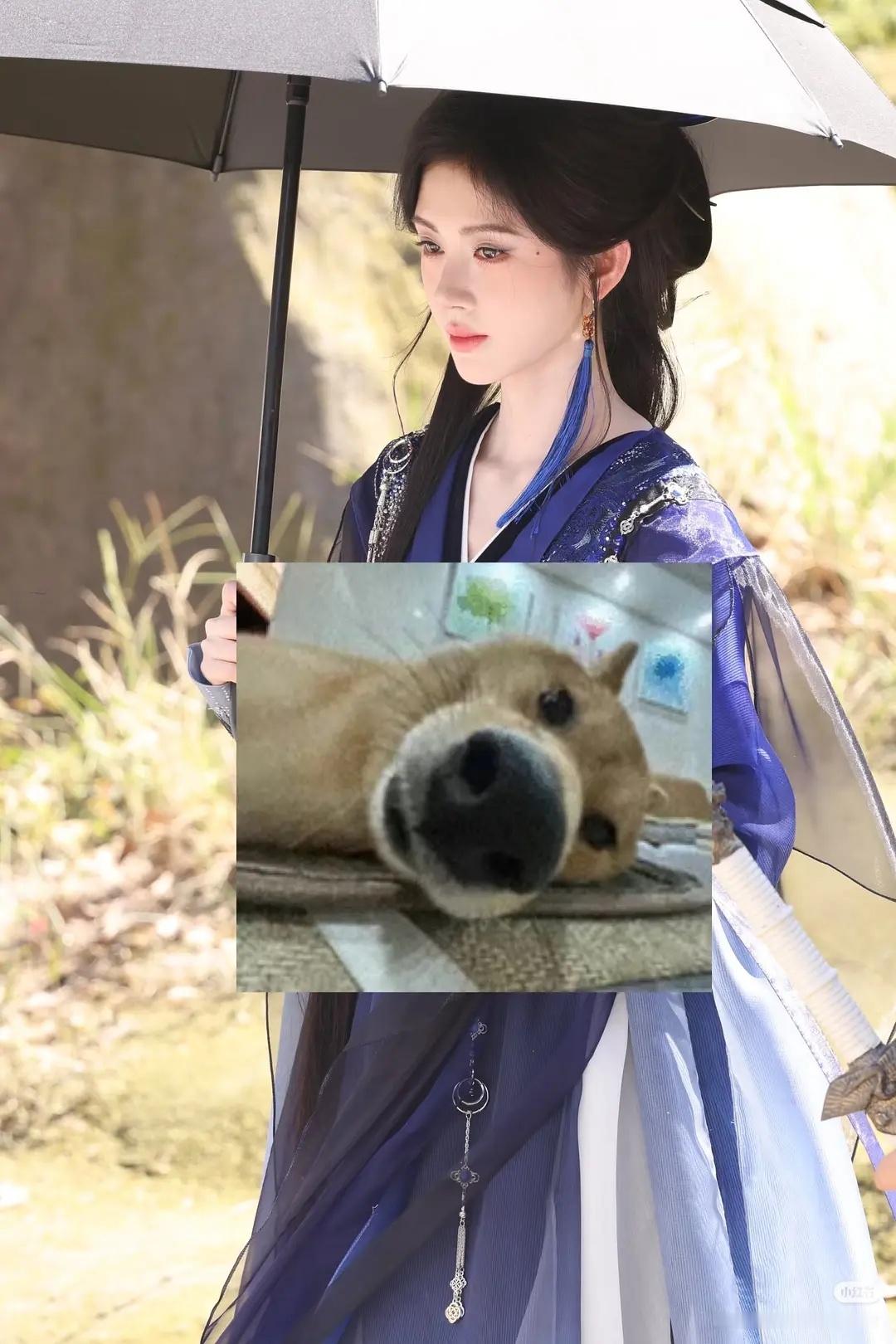 鞠婧祎来战这部剧的造型真的不错😍 ​​​