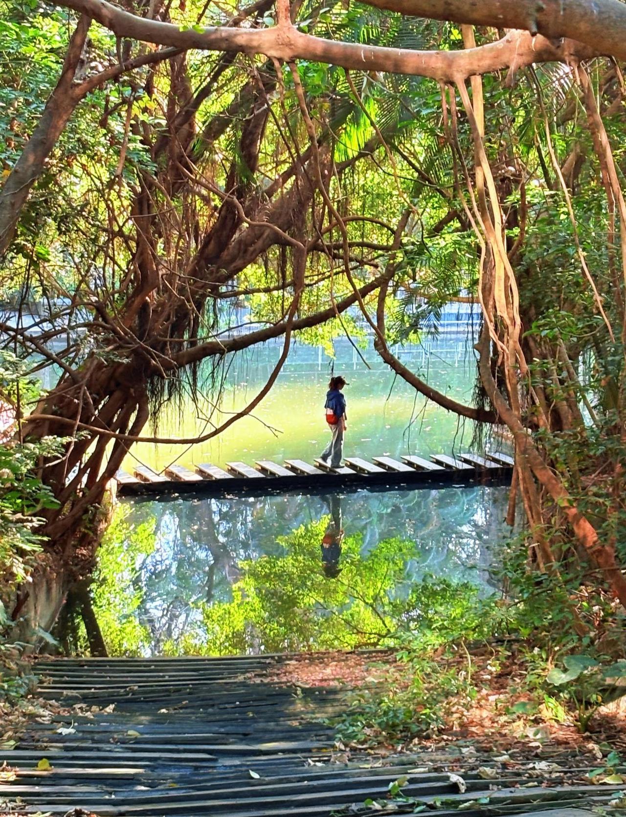 挑战哄自己开心100天｜Day1️⃣闯入绿野仙踪🌳
恢复能量的小秘诀：出门！