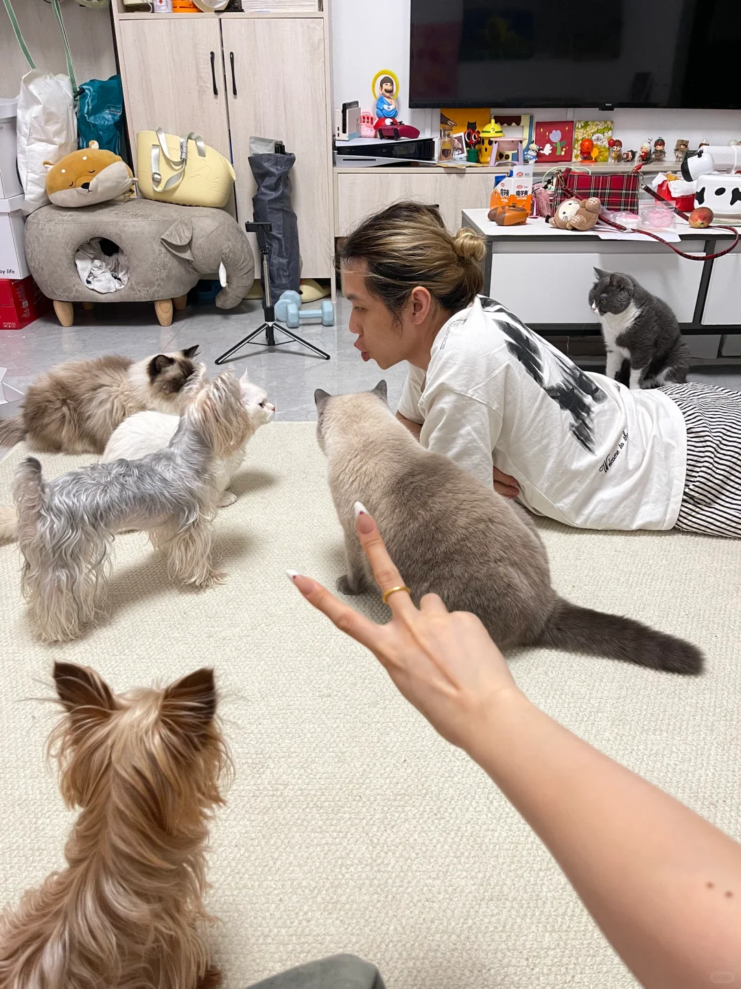 难得的全家福！