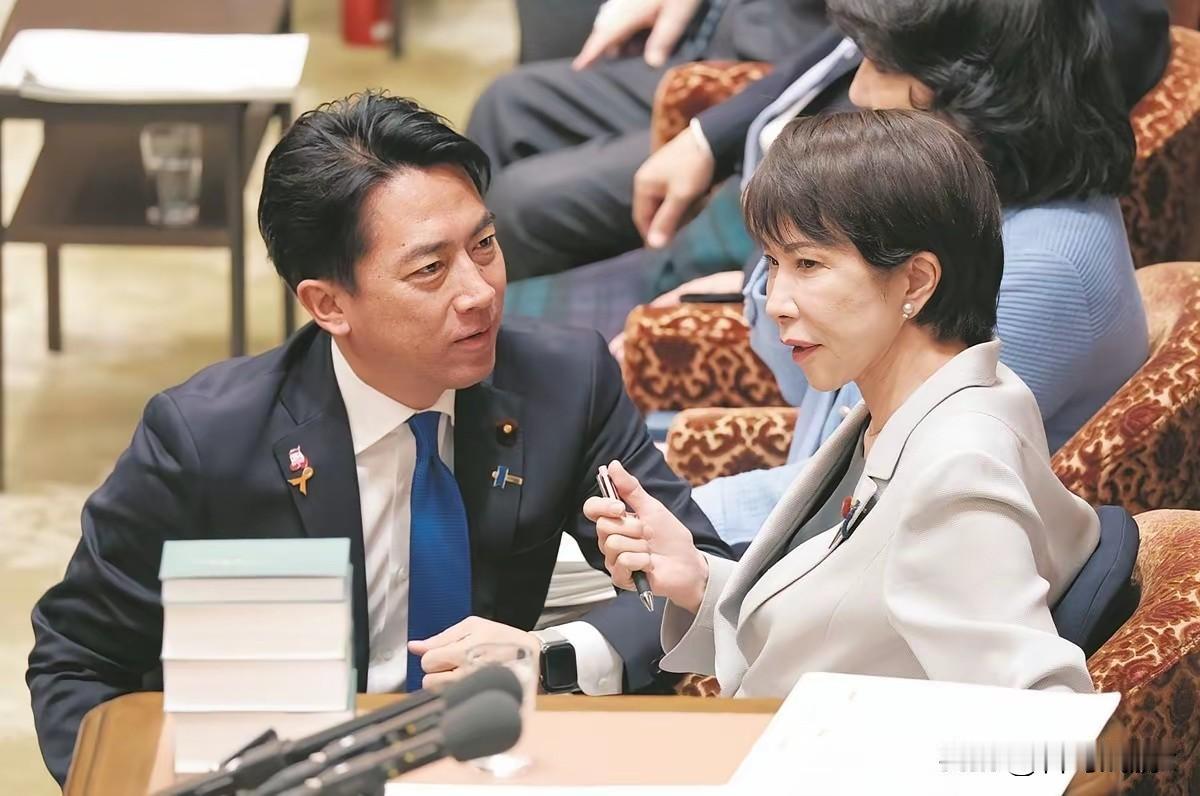 6月11号，日本即将在对台政策上实现新的突破，那就是日本超党派议员联盟"日华恳"