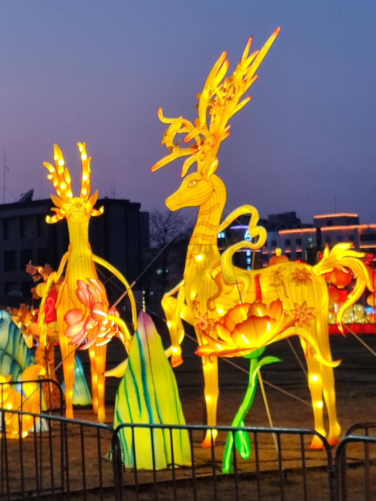 心态好确实是长寿的关键，养生本身也没错，错就错在过度怕死。要是稍微有点风吹草动就