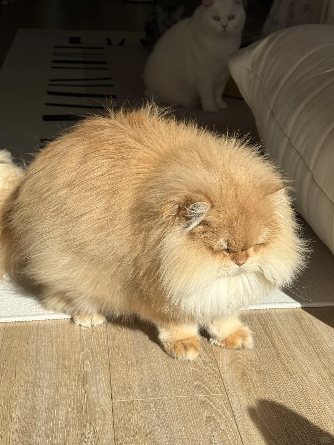 人 不开心随便你想靠在咪的哪里