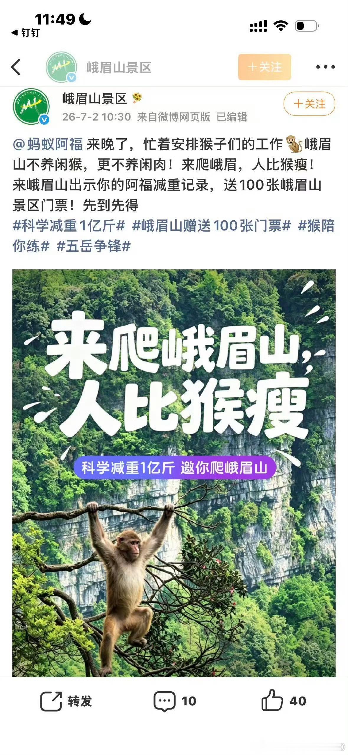 五岳为抢人爬山杠上了 各大山岳争相内卷减重活动，网友喊话各地山头加码送门票，也盼