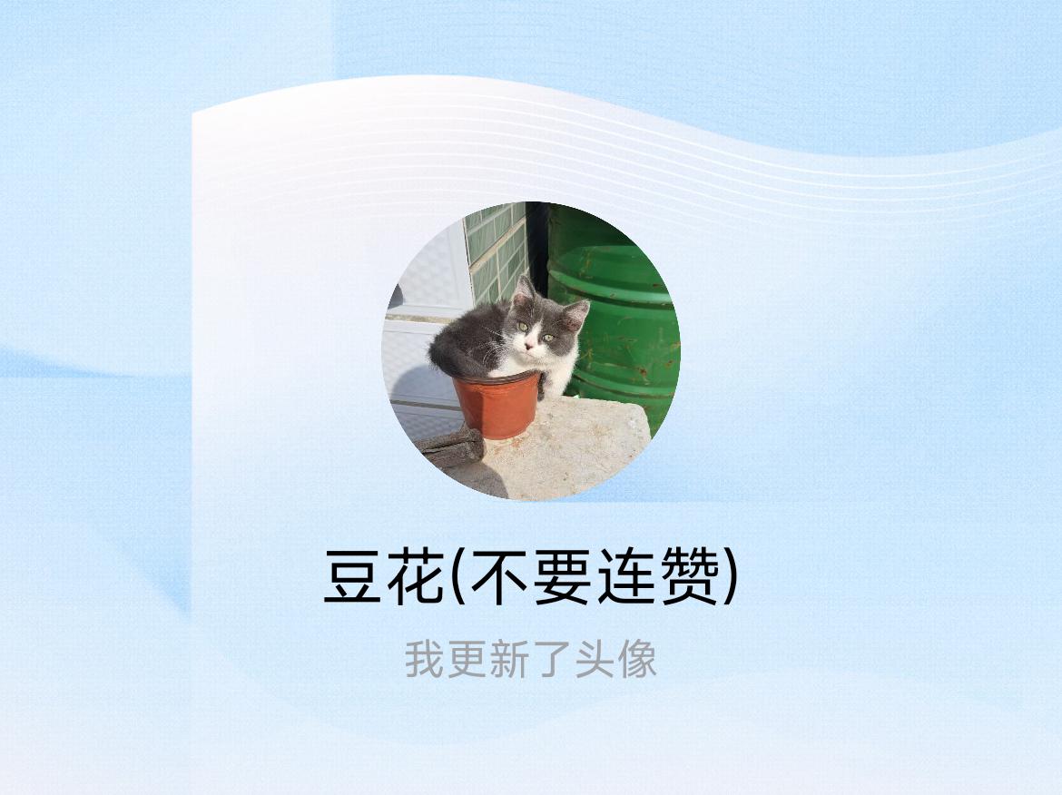 快来看看我新换的头像吧