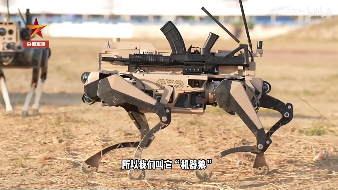 央视报道中的国产“机器狼”和土耳其的武装机器狗，你觉得哪款更实用。单纯看机器部分