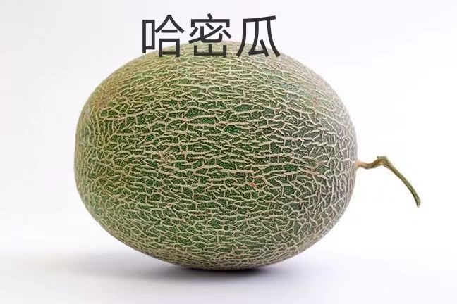 哈哈哈哈哈哈哈猫头猫 ​​​