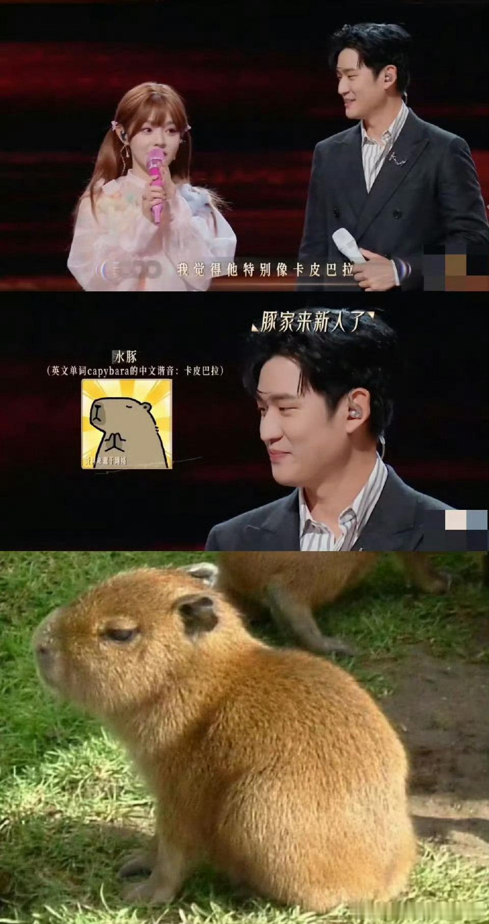 黄霄雲 周兴哲是我的大英雄声生不息黄霄雲喊周兴哲大英雄太贴切了！从技巧打磨到情感