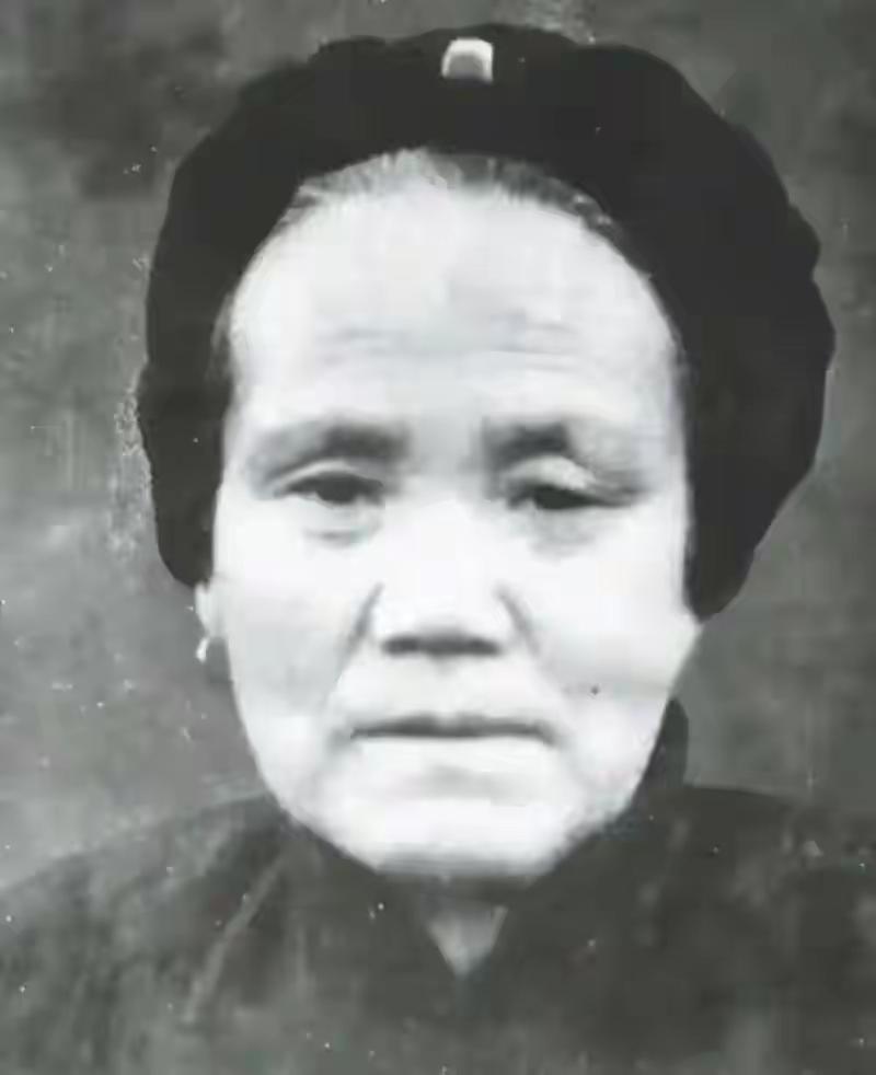 七个儿子上战场全部牺牲，母亲哭瞎双眼苦守老宅，1949年那天，院门外突然传来一个