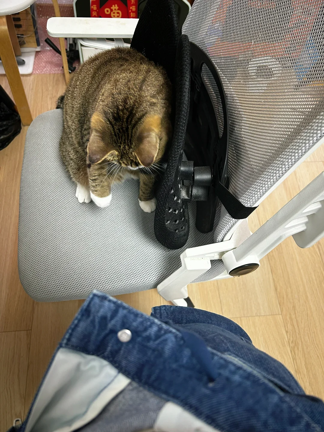 流氓扒拉人家裤子👖！