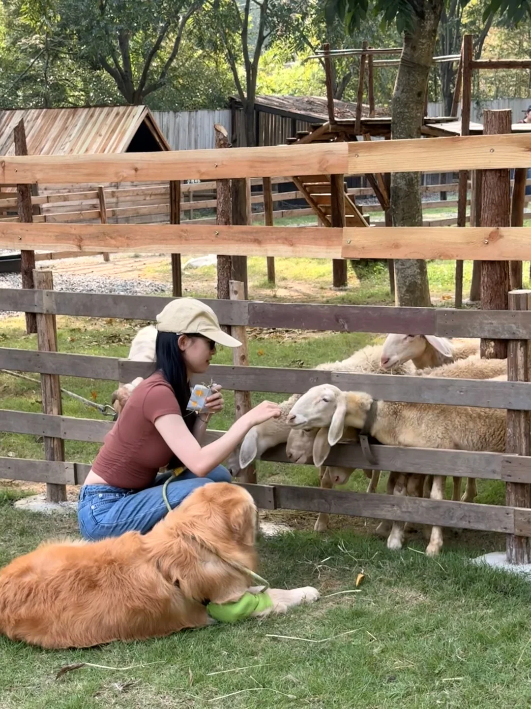 我勒个飞天大面包 小狗在莫干山玩疯啦