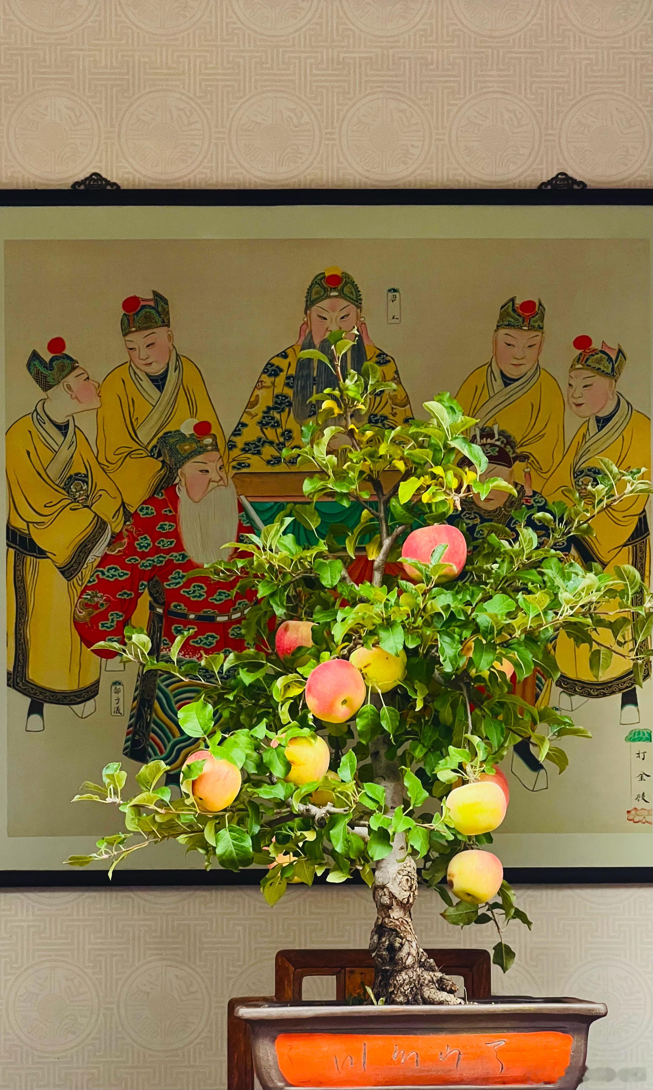 大美中国中秋节快乐 桂花节之苹果盆景打卡美丽的中国超话 北京·颐和园