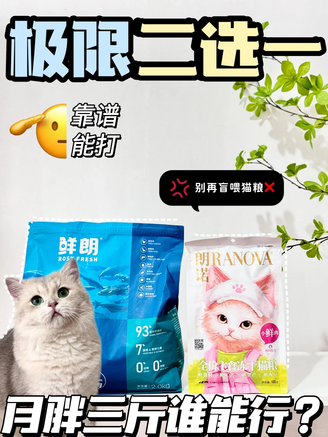 朗诺or鲜朗纠结不会选？双十一这样买不出错