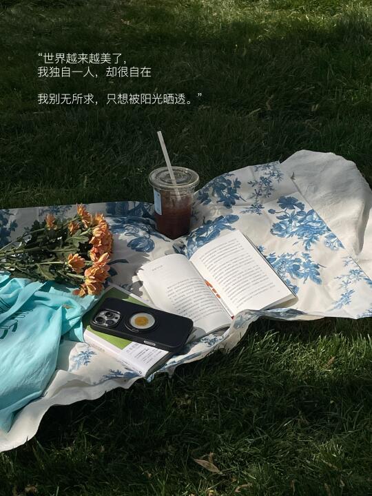 “世界越来越美了，我独自一人，却很自在”