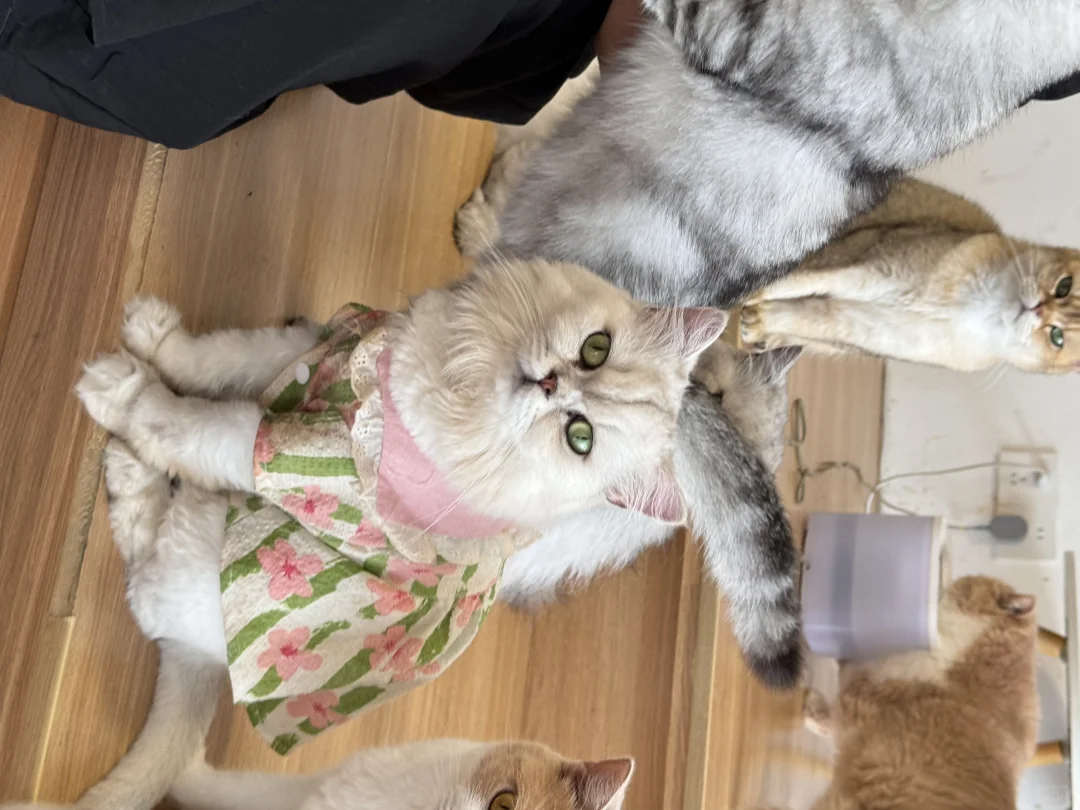 南京还有这种好地方？？？