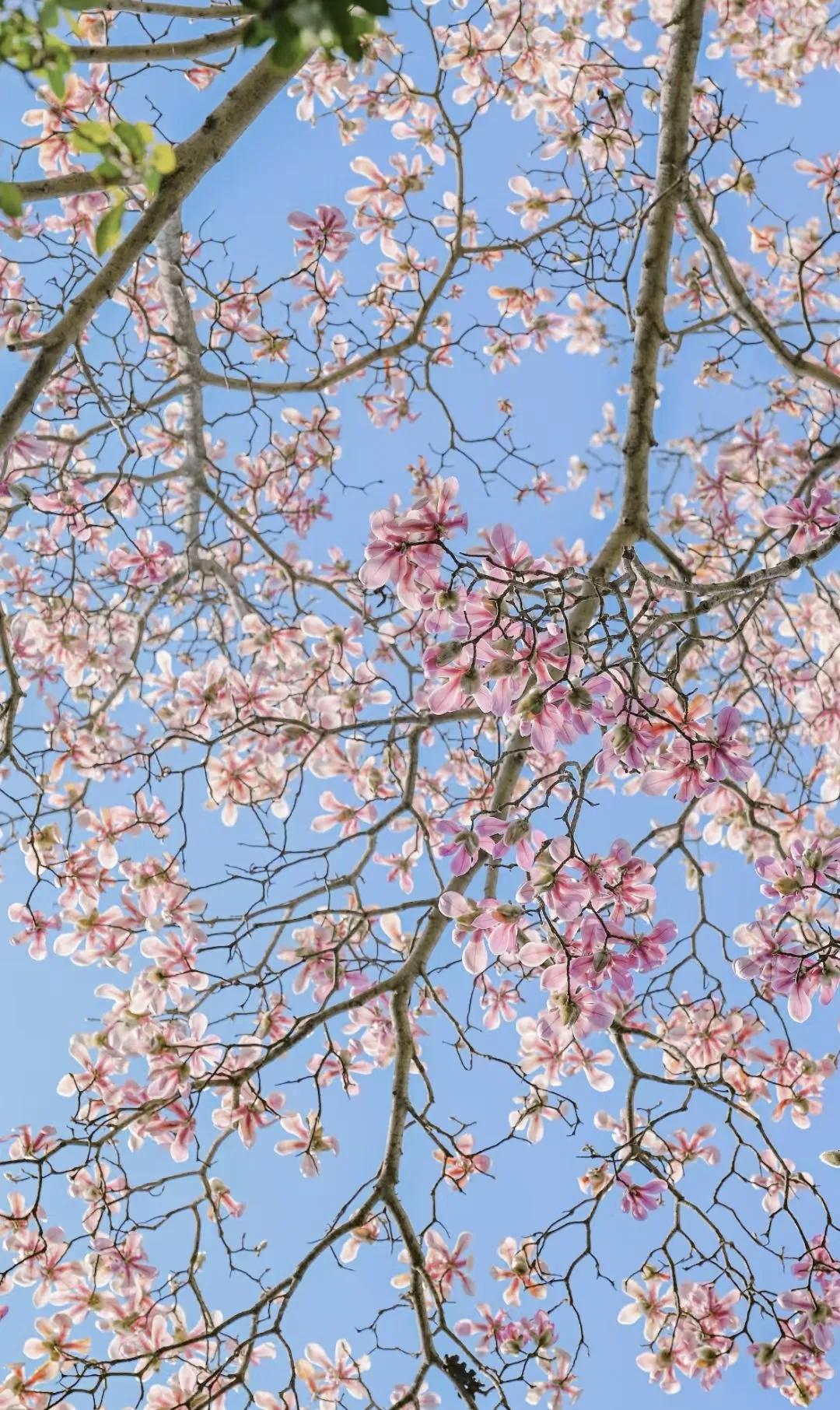 【放下过去的成败与焦虑，不纠结已发生的错误，也不沉溺于过往的辉煌】
      