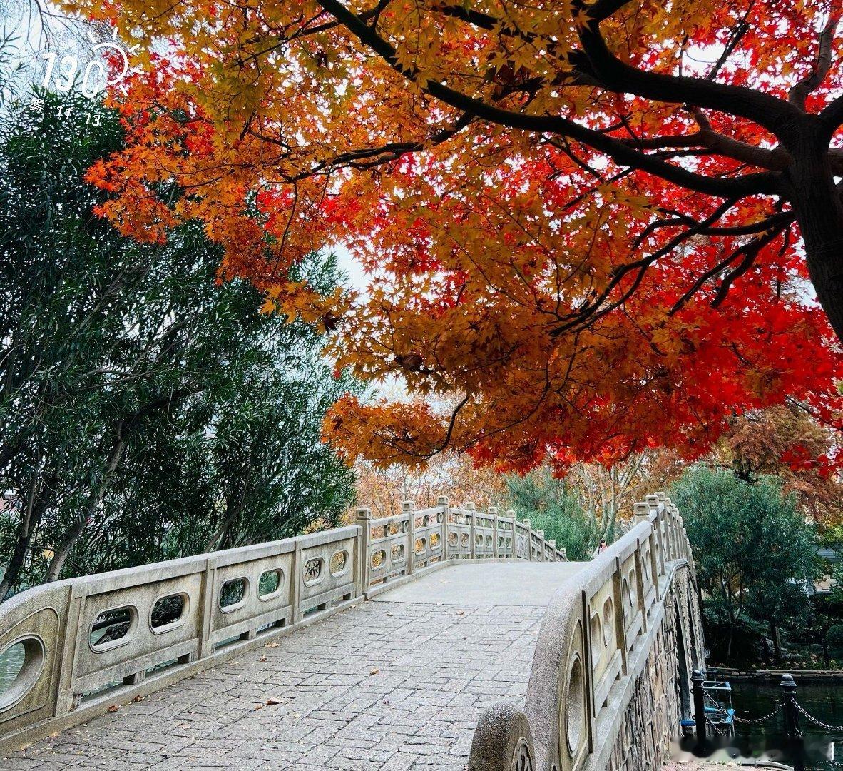 大雾散去，  阳光明媚不出门“可惜”了……   