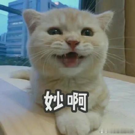 余承东谈享界G9首发五大硬派实力余承东详细解读享界G9的五大硬派核心实力，用科技