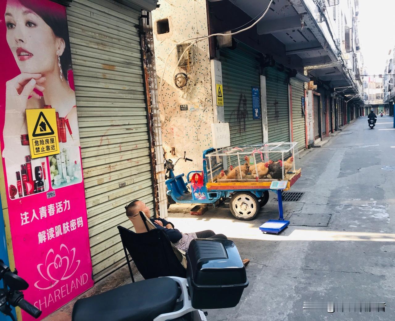 那天经过深圳松岗幸福老村，阳光懒洋洋的照在一条待拆的老巷子里。这个老兄就这样迷迷