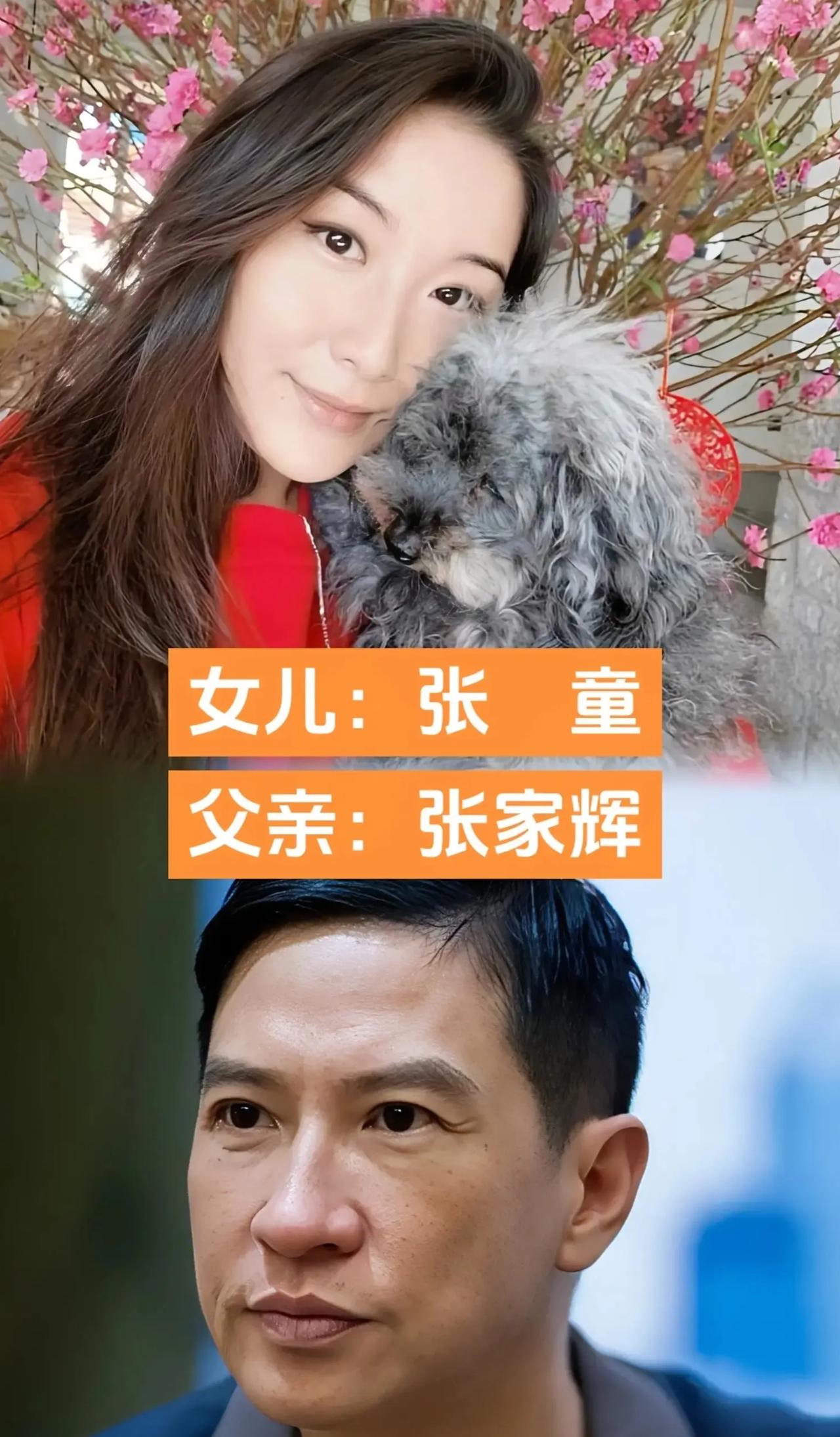 上一辈演绎人间百态，下一代续写眉眼温柔。
一帧一帧，藏着整个香港影视黄金岁月的余