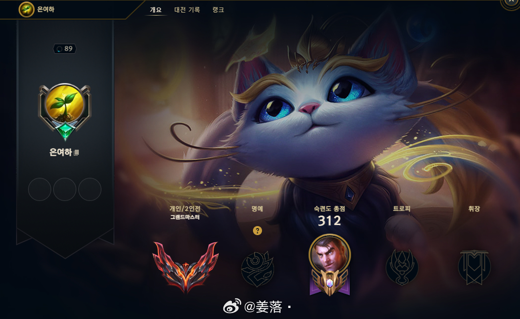 新芽 猫咪 