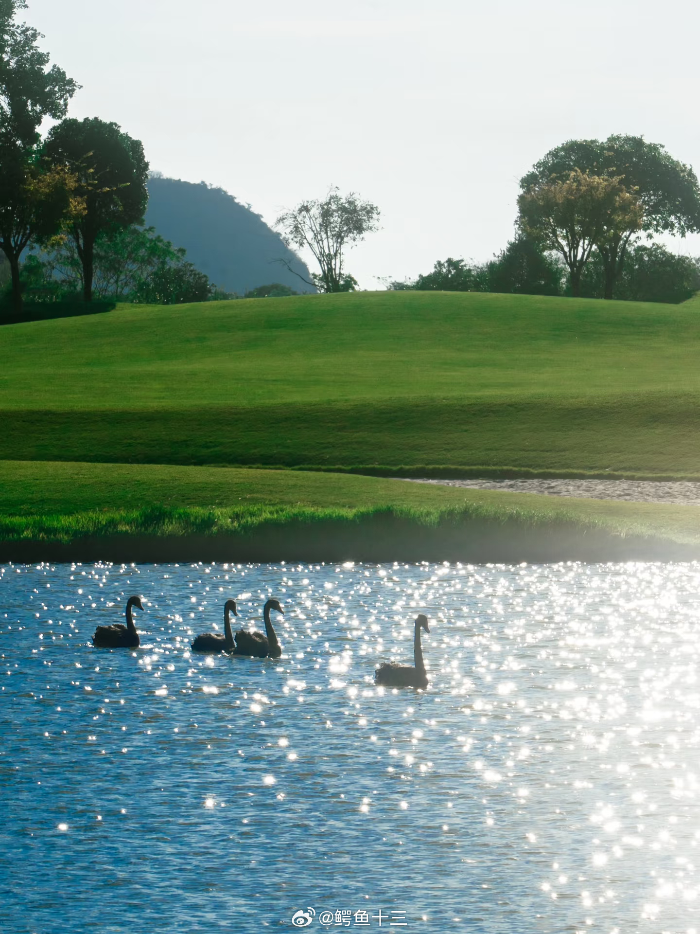 a股 记住：夏虫不可语冰刚才居然来了个，才关注我一会的小黑粉，我用了0.3秒把他