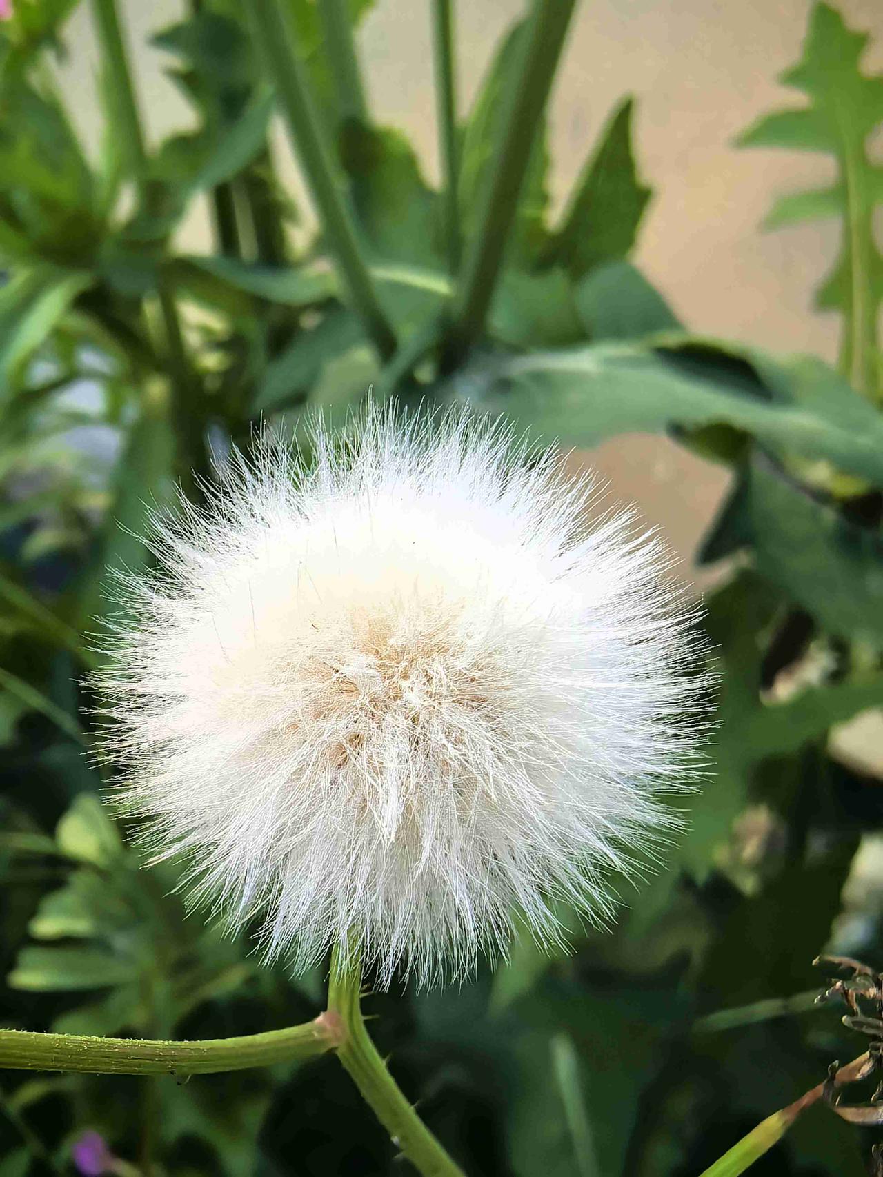 我的今日状态：😁轻松愉快
我这里的天气：☀️晴天