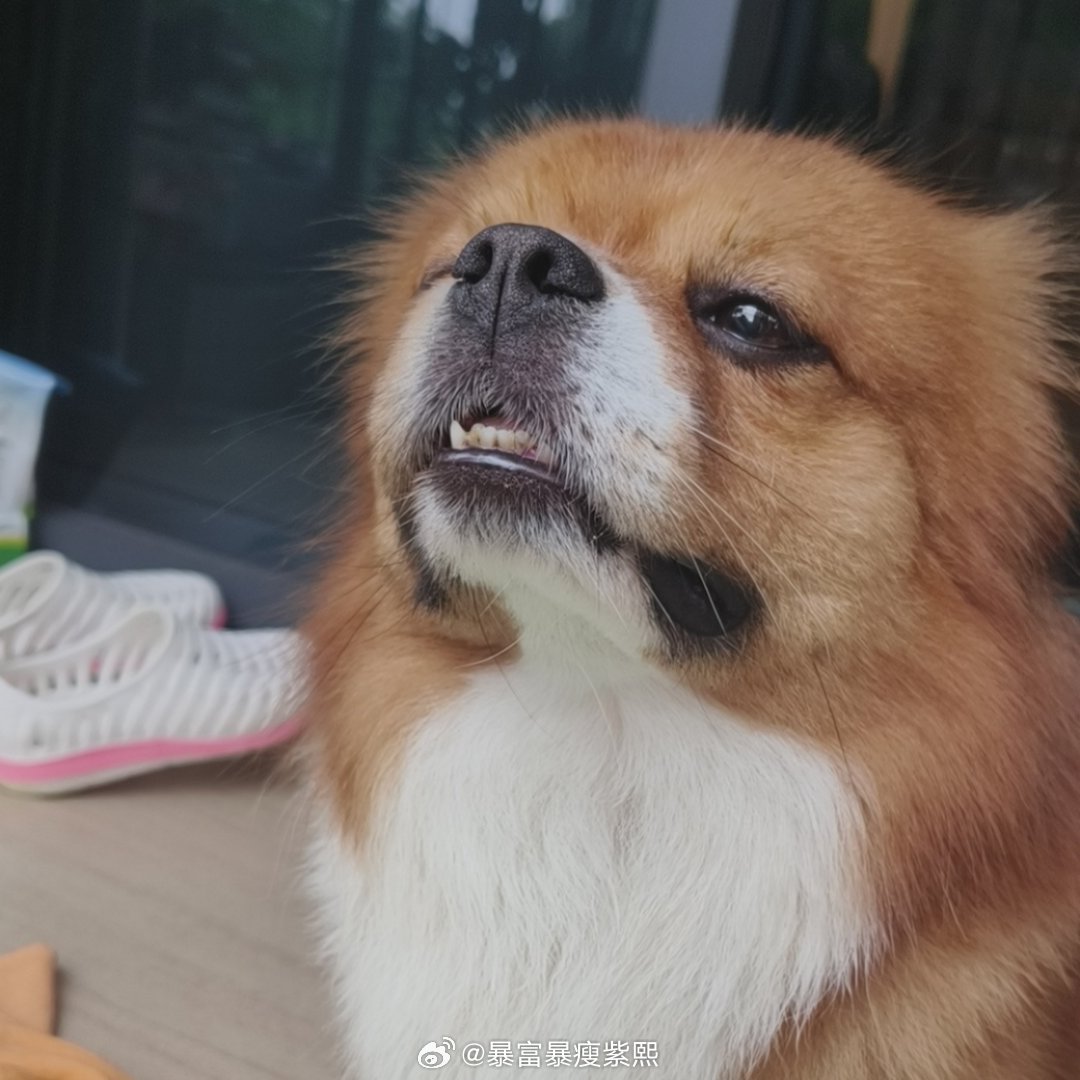 舒服了  把微博没用的或者用得少的还有各种爬楼的裙全退了  果然严重拖延症干活还