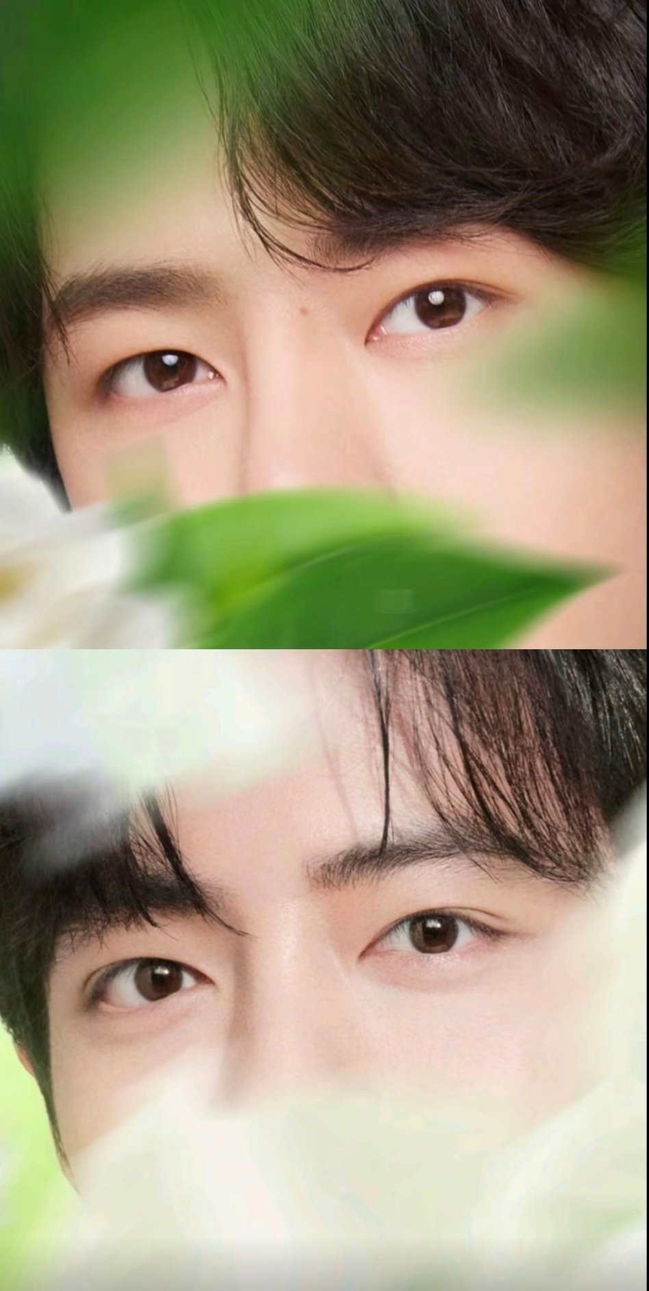 博君一肖 🦁🐰博君一肖 如果能和你并肩走的话      狂风暴雨也是好天气 