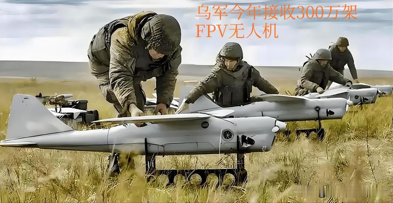 2025年12月24日，乌克兰国防部长什梅加尔宣布，乌军今年接收用于精确打击的F