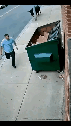 这“牛追人，人进箱，牛不舍，人胜牛”画面感十足啊。让我想起解梦里说梦见牛追人可能