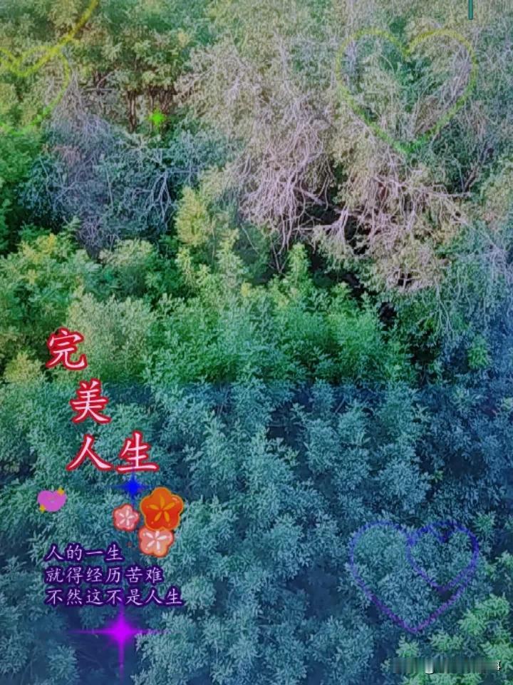 小区域
大环境
有如走进森林
树木遮天蔽日
享受生活
努力向前