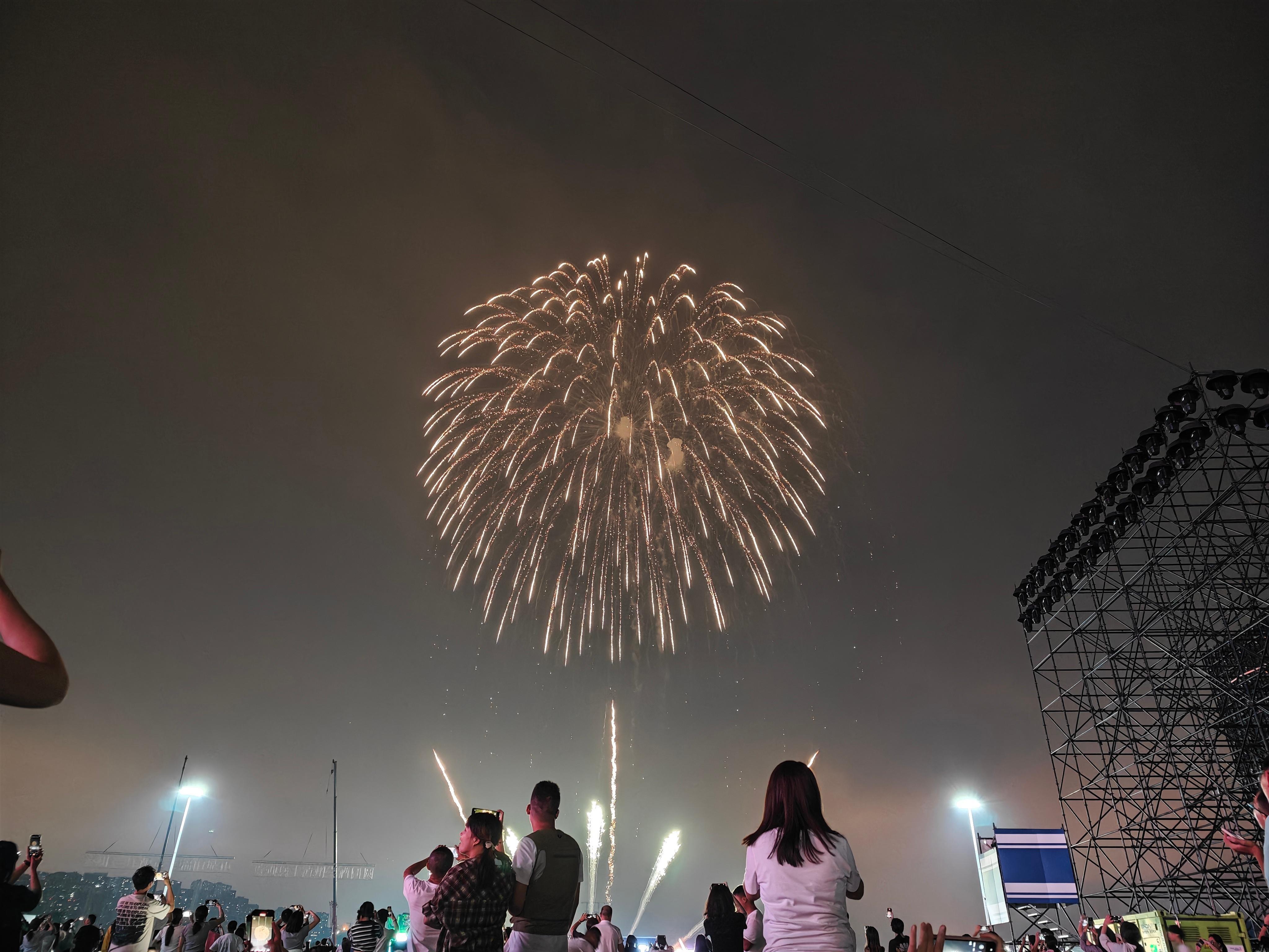 烟花大家今年有没有放烟花的计划？ 