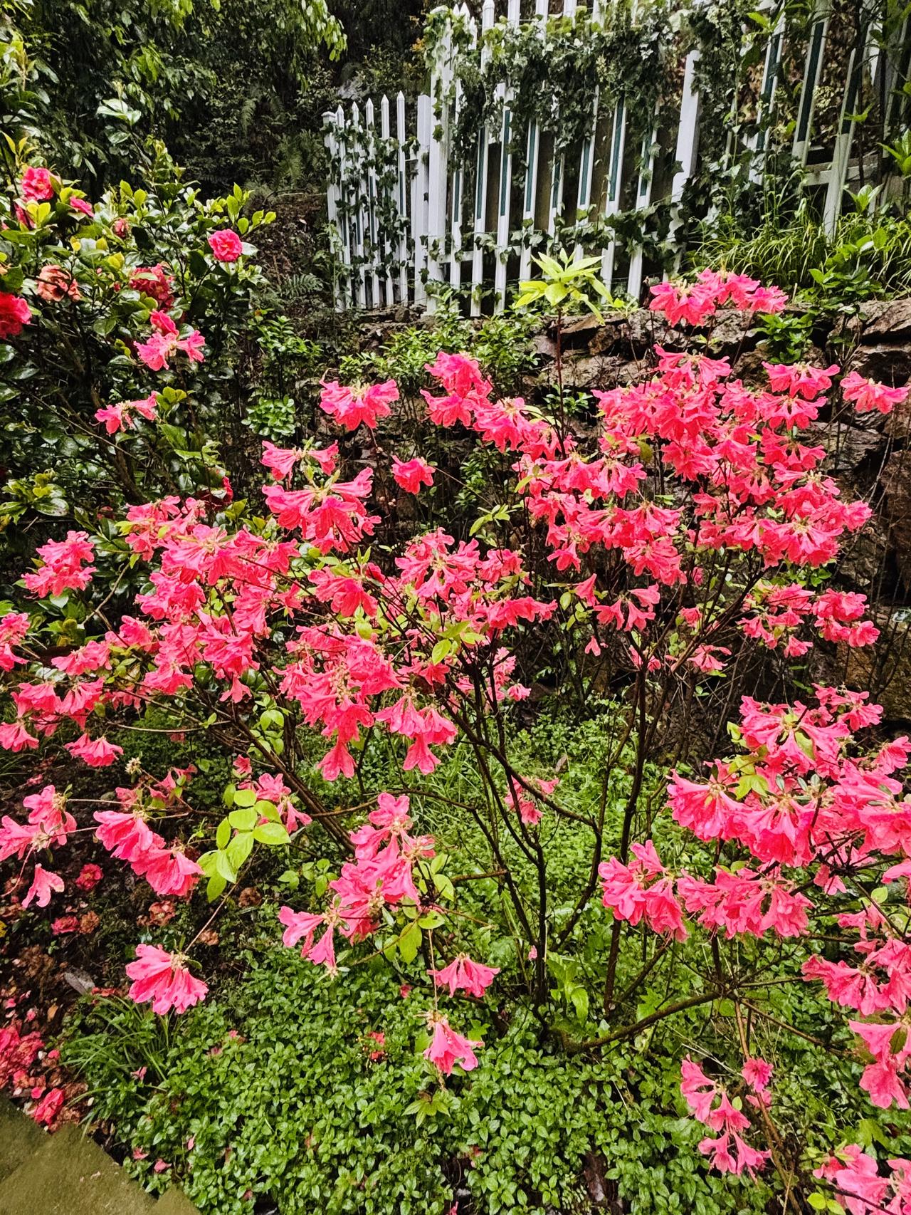 人生经验：
一、一个人顺境只有十五年，人生大部分时间都是不顺的；

二、真正命好