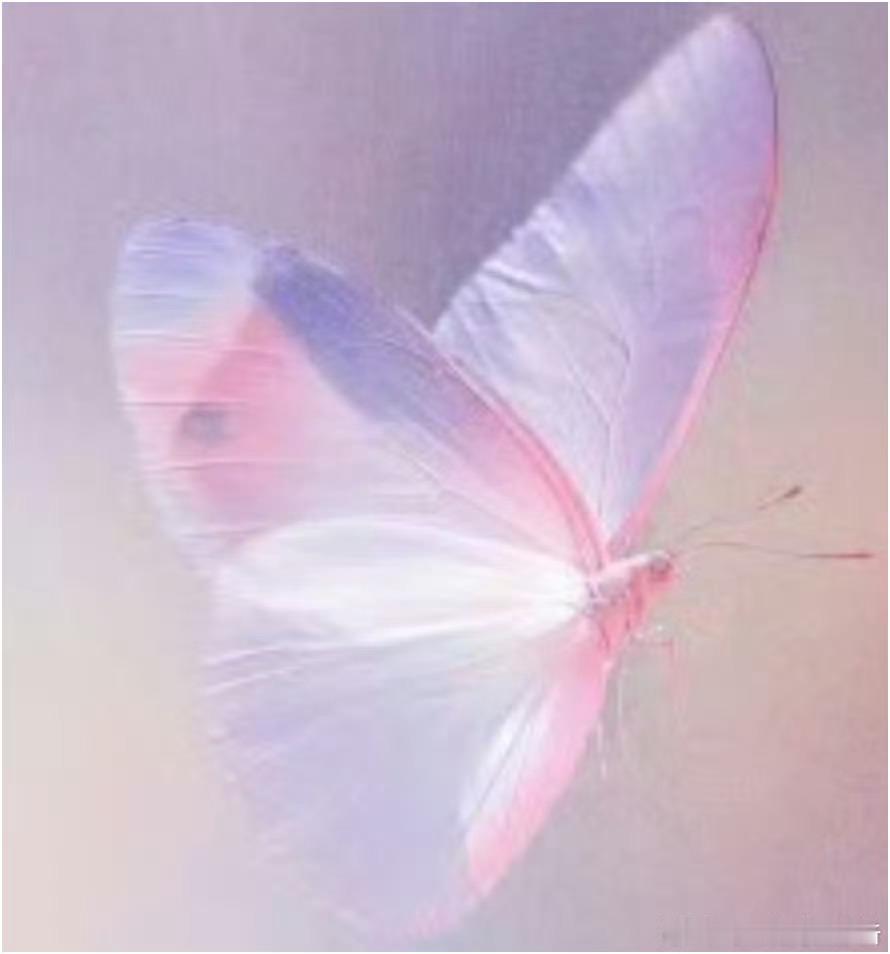 狙击蝴蝶分手复合在同一集就喜欢这种速战速决的，不要这么多误会拉扯！好喜欢呀 