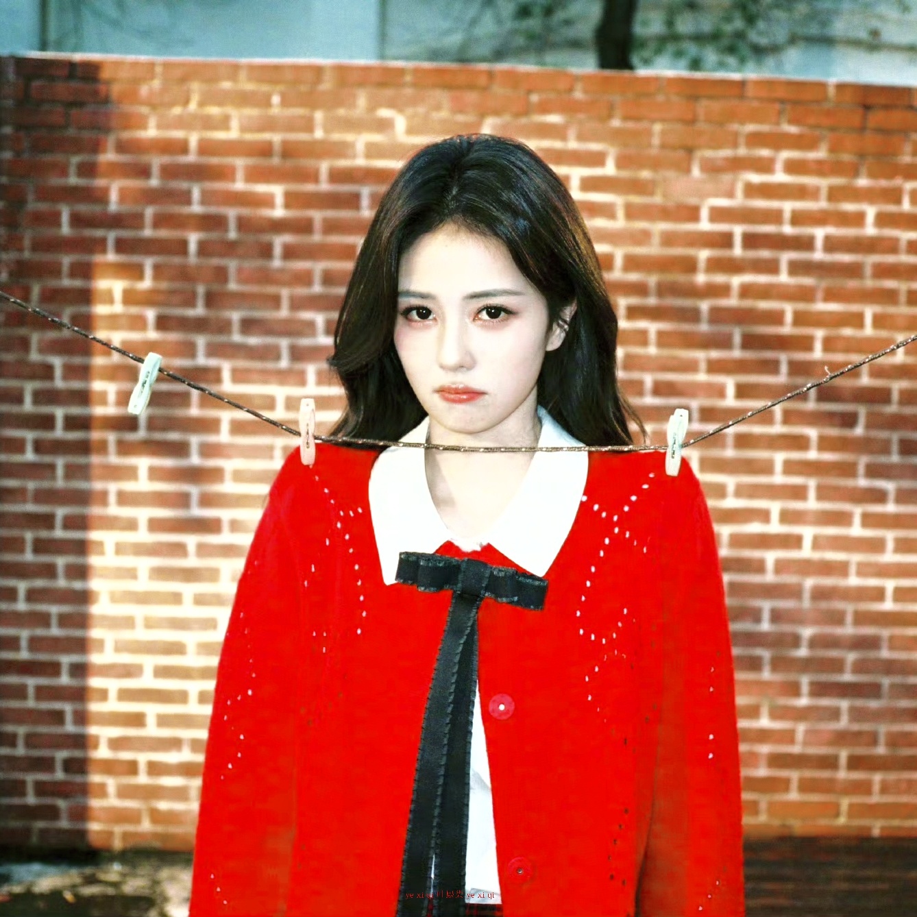女孩儿 愿你一直明媚 * 白鹿头像白鹿