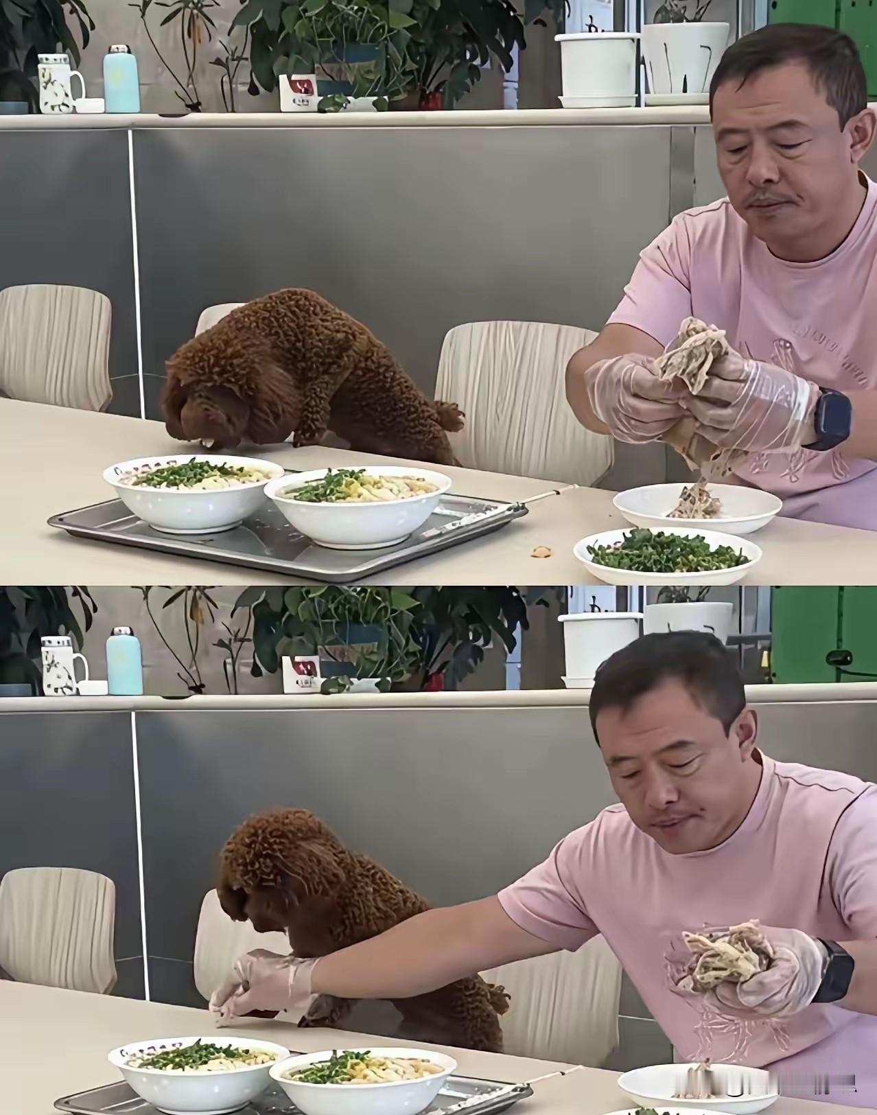 一只狗，如何咬死了一家经营20多年的老店？
​沈阳老四季，沈辽东路店。二十多年老