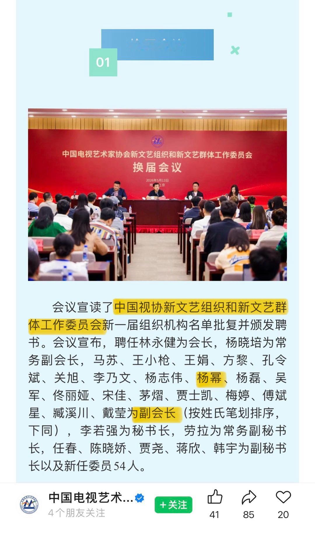 耶耶耶！恭喜我们中国视协新文艺组织和新文艺群体工作委员会【副会长】杨幂