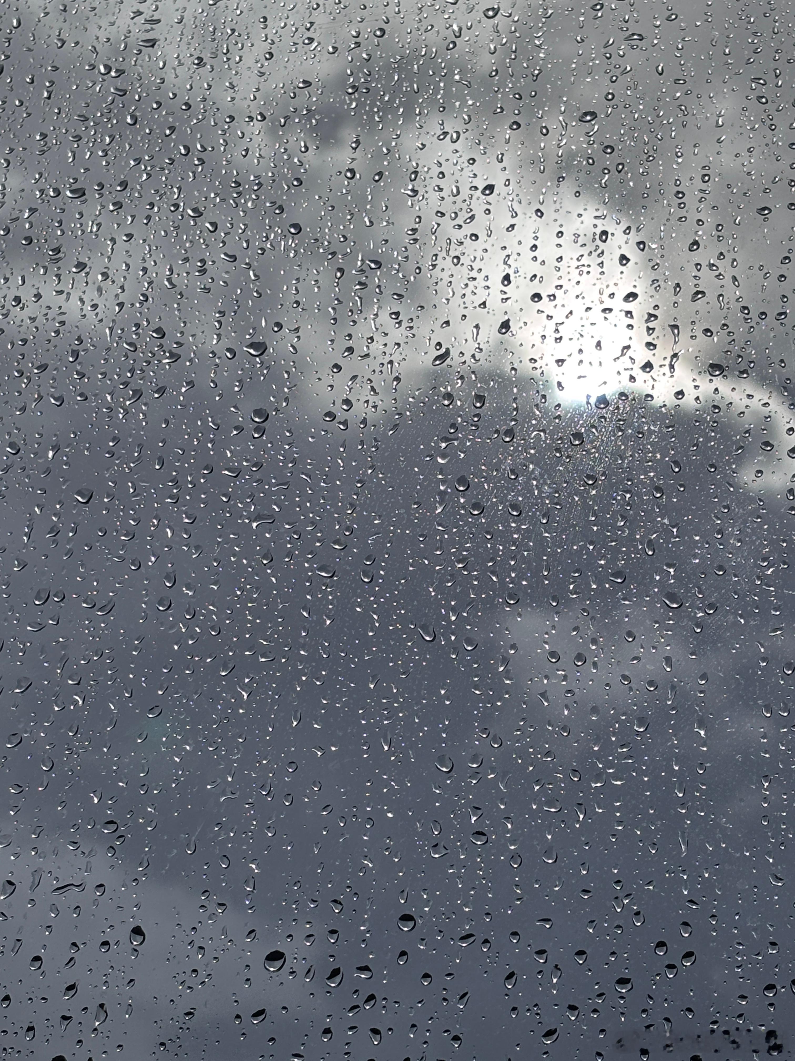 风、雨、雷电⚡️才是夏日的主调。 