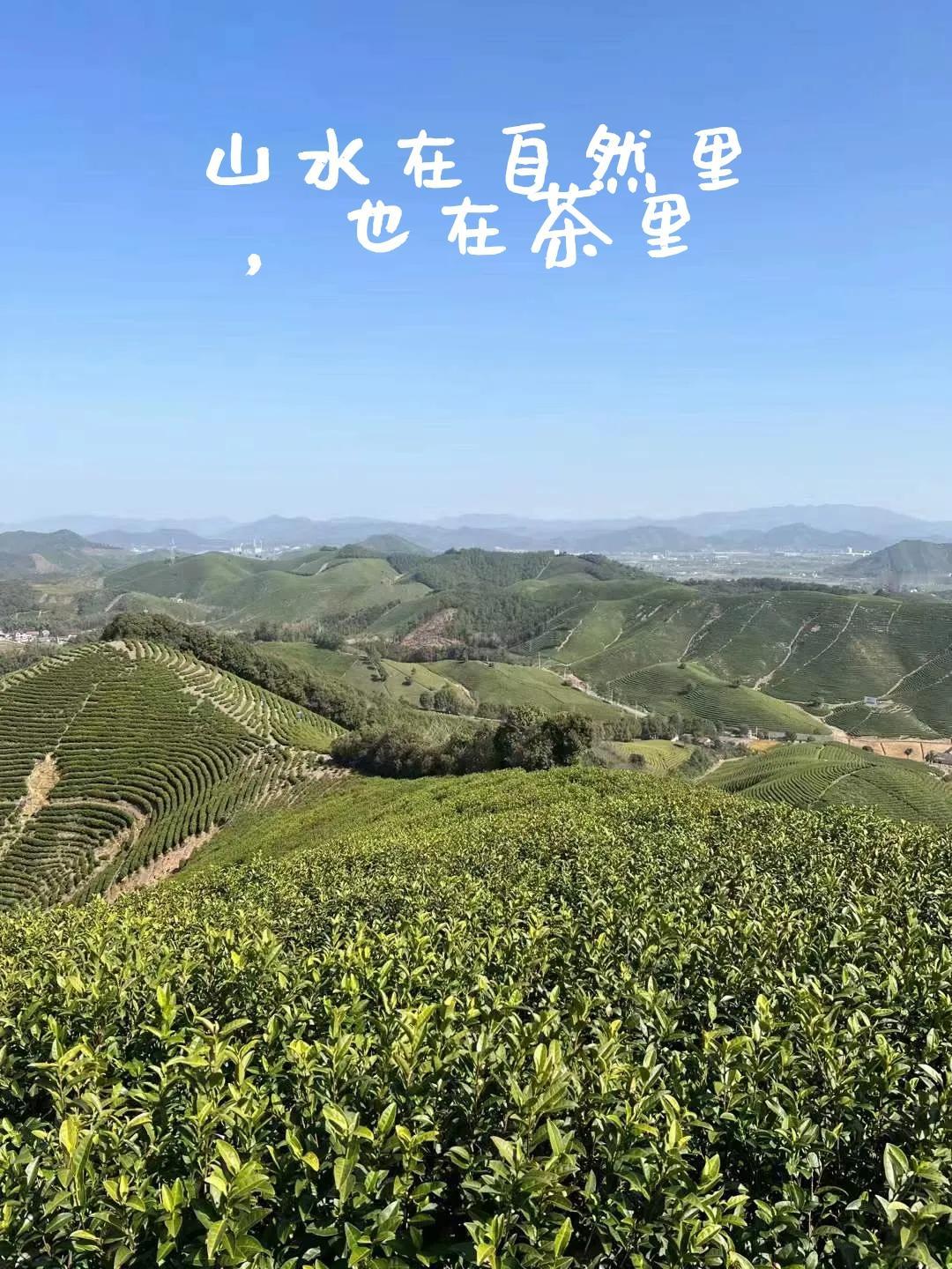 今日谷雨，记得喝茶！

谷雨逢吉日，雨生百谷，福满人间，所求皆如愿。
今天谷雨，