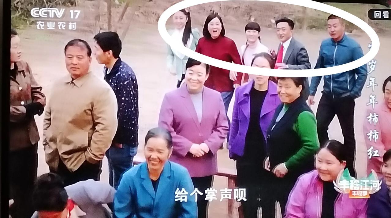 《歲歲年年柿柿紅》:黨支部組織？？？？？？
