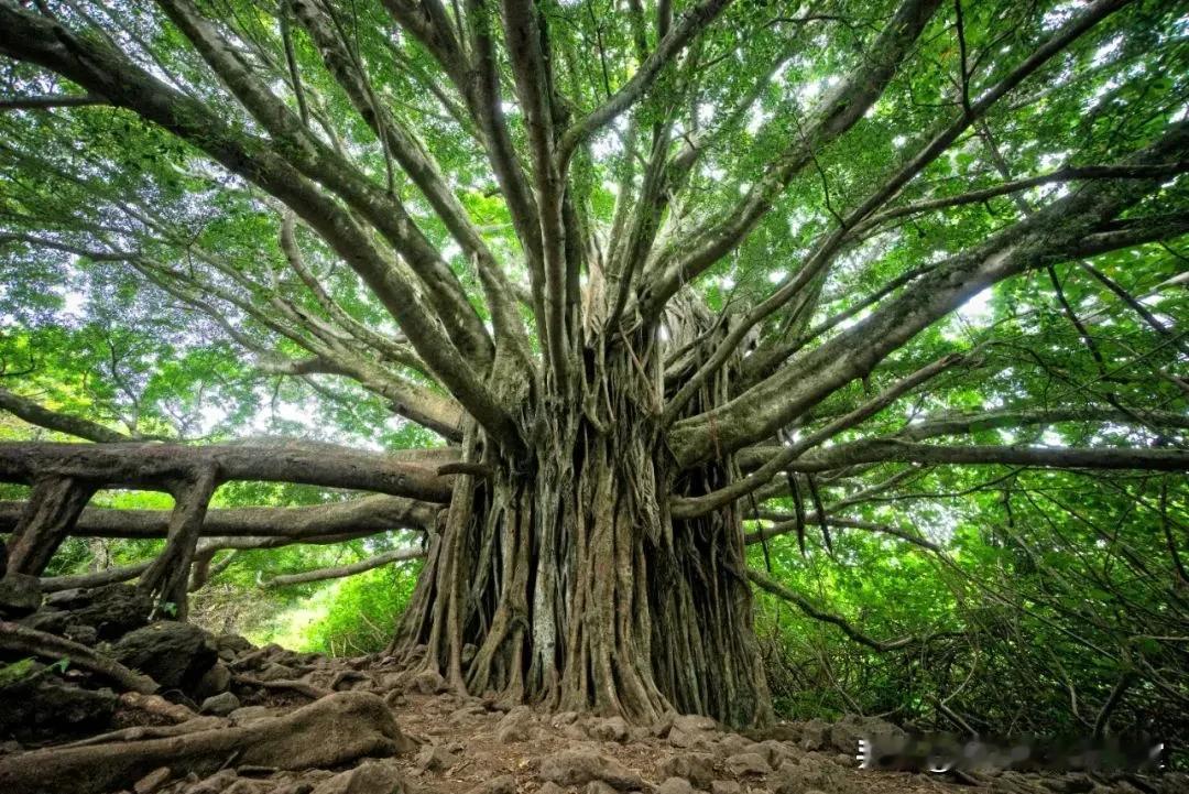 当你发现孩子总是丢三落四时
不要只层行为上去纠正
而要先判断背后的原因
因为行为