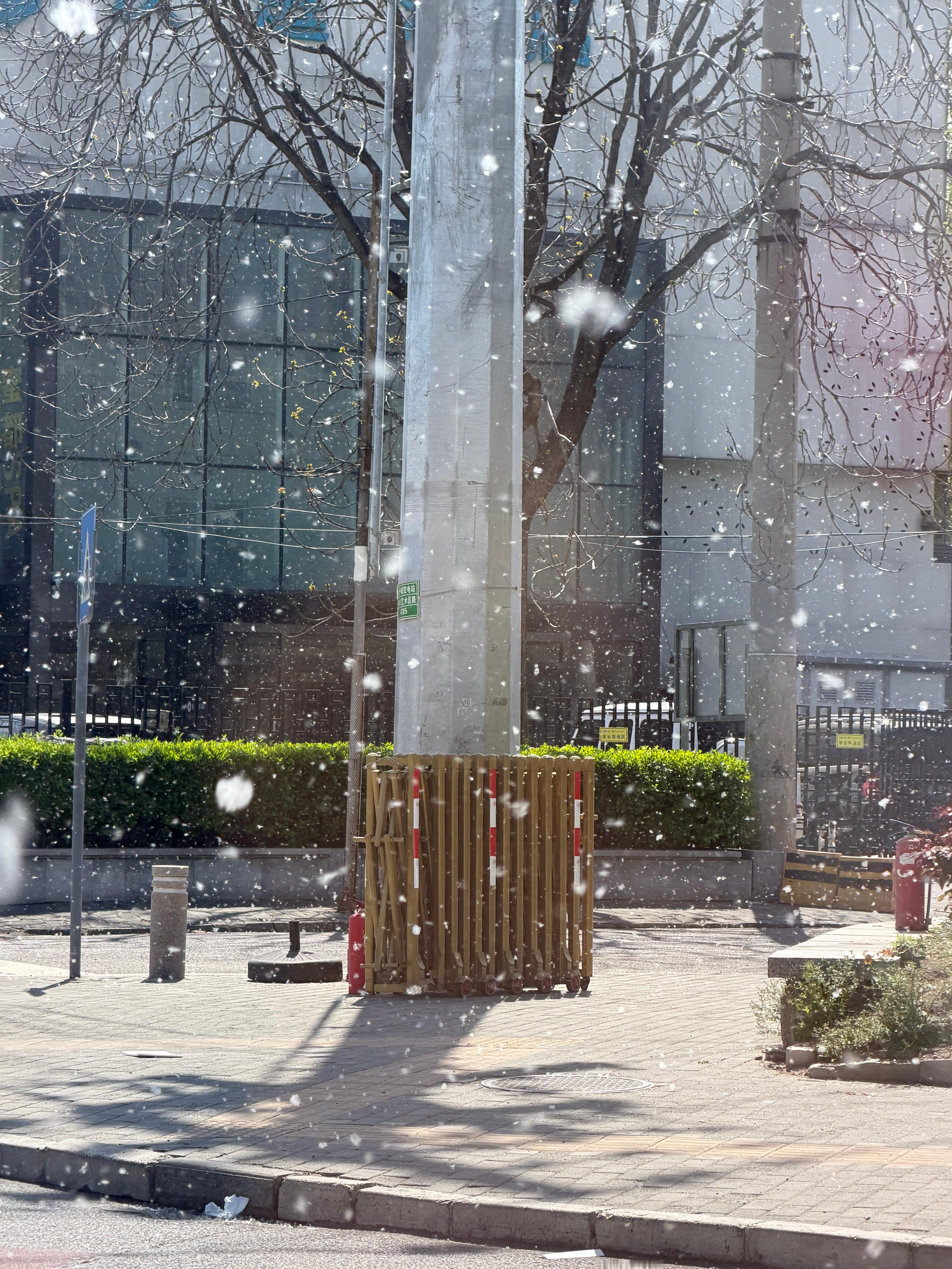 北京这棉絮，都和下雪一样了，不适合我这个南方人生存，溜了溜了 