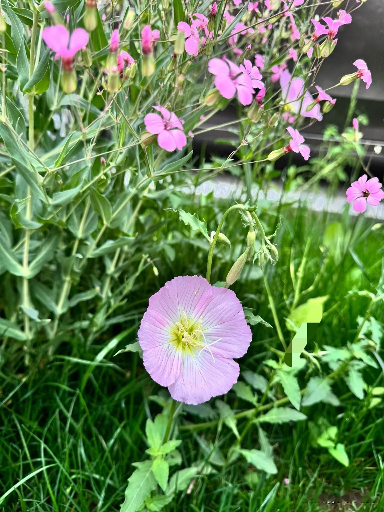 【小对联】
上：……？
下：点题。