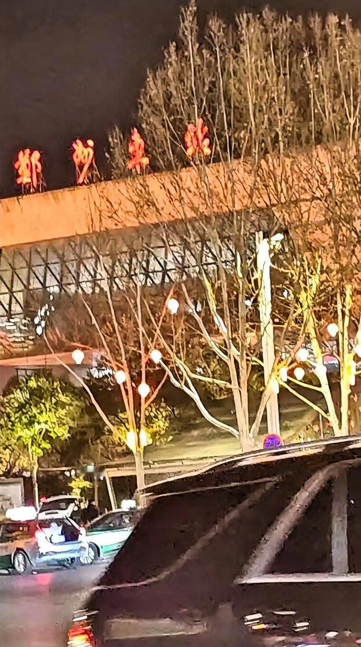 这是晚上的郑州东站，看着还挺热闹的。路边的树都挂着小灯笼，暖黄的光，看着就有年味
