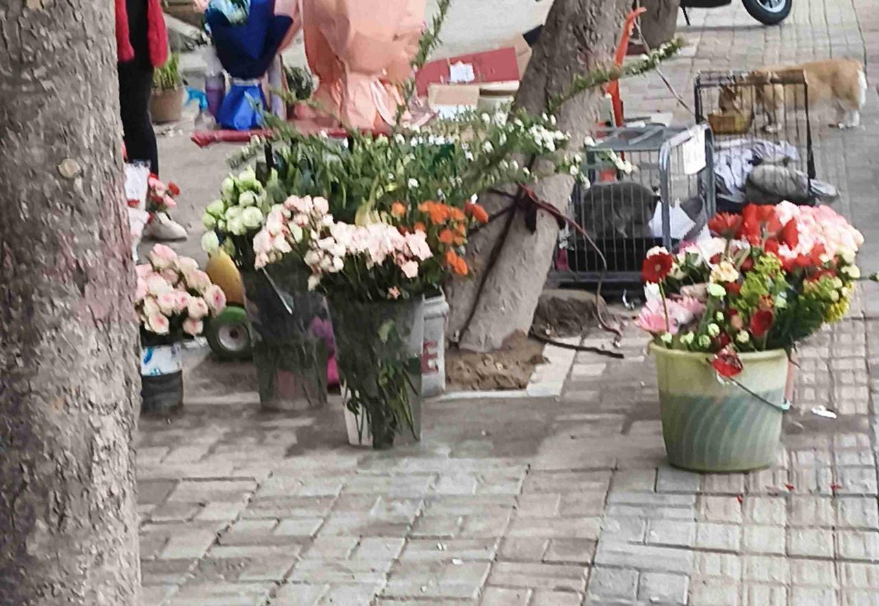 我的今日状态：😁轻松愉快
我这里的天气：☀️晴天