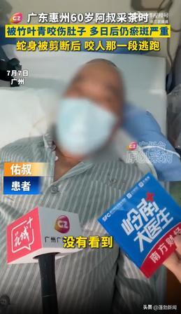 太惊险了！7月8日报道，广东惠州，一60岁老汉上山采茶，冷不丁被草丛里窜出的竹叶
