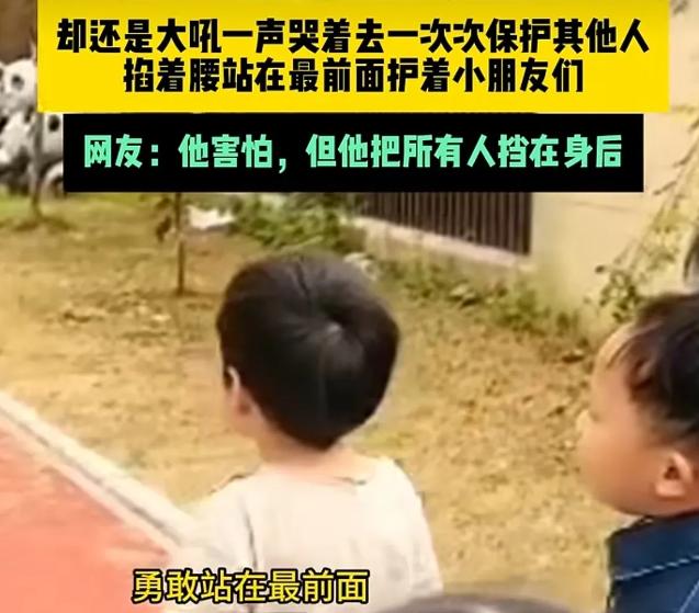 他颤抖着，泪水模糊了双眼，却像一头护犊的母狼，用瘦弱的身躯挡住了所有试图靠近的人