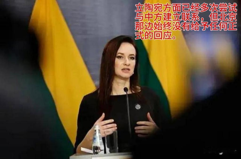 【立陶宛：错在哪心里没个数吗】
时间：5月18日
地点：比利时布鲁塞尔（欧盟总部