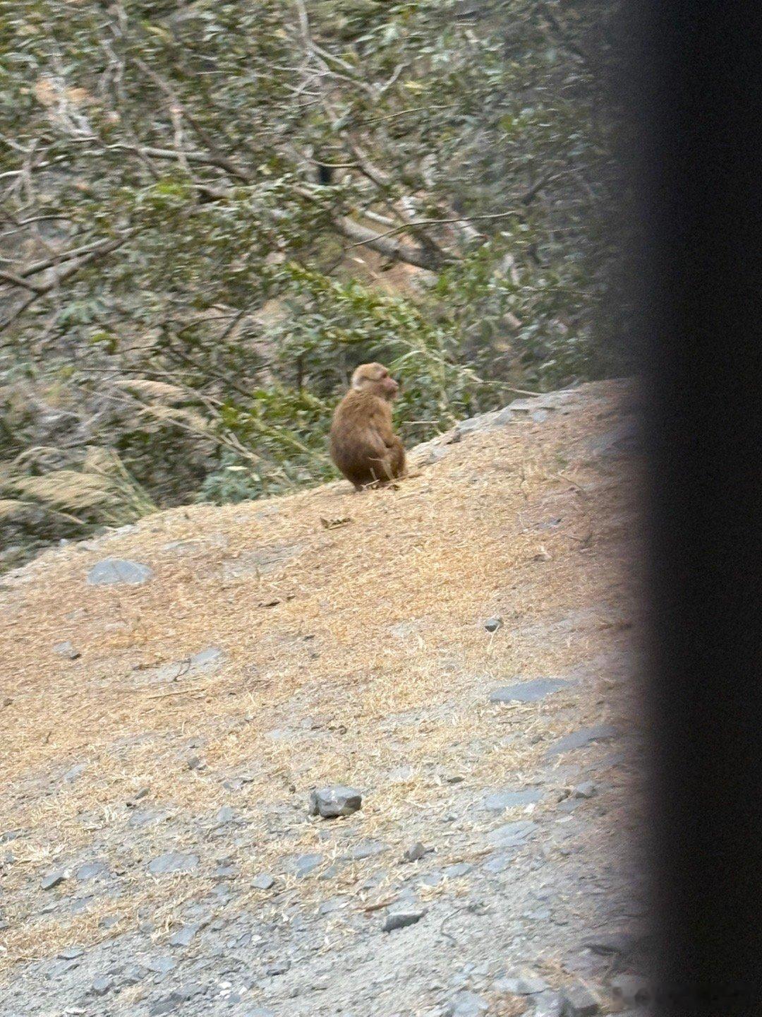 一个犁牛半块田，收也凭天，荒也凭天。粗茶淡饭饱三餐，早也香甜，晚也香甜。布衣得暖