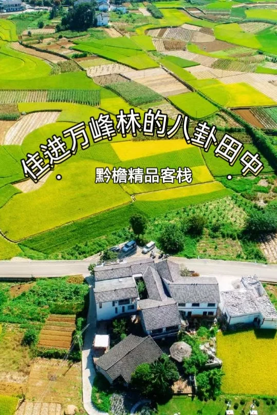 🏡住在万峰林八卦田中的体验❗️不要太爽